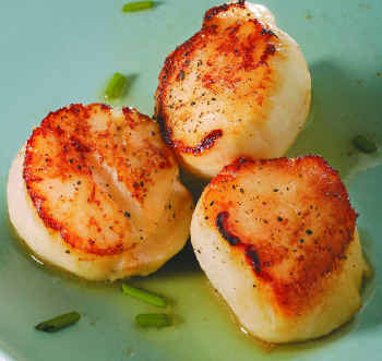 cooked scallops.jpg