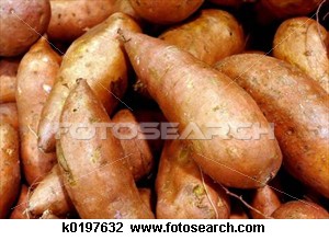 sweet-potatoes_~k0197632.jpg