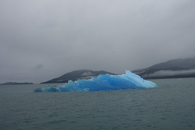 78 Tracy Arm Fiords and Glaciers Tour amazing blue iceberg.jpg