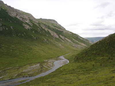 alaska 023.jpg