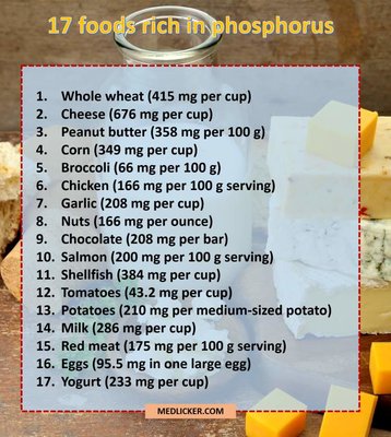 foods-rich-in-phosphorus-c1b6abf9e2.jpg