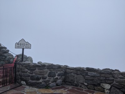 IMG_20200805_165631.jpg