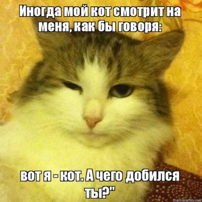 58491AF1-6994-44C3-8554-B19F47448749.jpeg