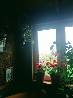 IMG_20200910_105643.jpg