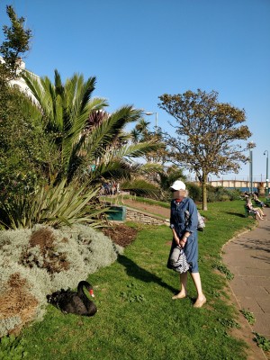 IMG_20200913_165239__01.jpg