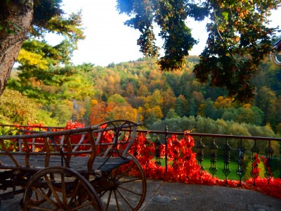 Praguie,Russia 2019 394 (2).jpg