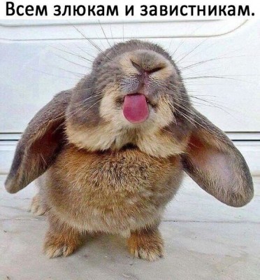 image-1 — копия 2.jpeg