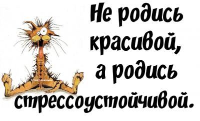 i.png