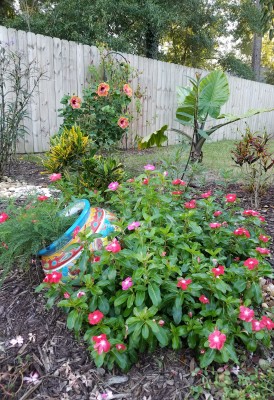 20201004_120928.jpg