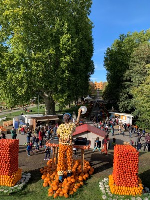 IMG_5077.jpeg