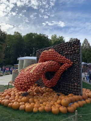 IMG_5123.jpg