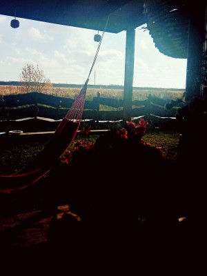 IMG_20201015_101730.jpg