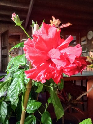 IMG_20201007_102434.jpg