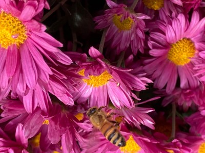 IMG_0690.jpg