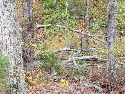 20201026_115049.jpg