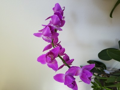 20201017_134547.jpg