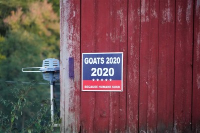 2020-2 (2).jpg