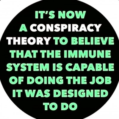 immune.jpg