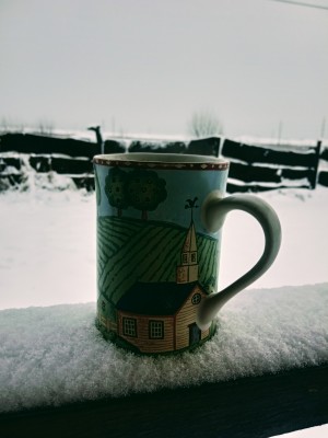 IMG_20201121_102758.jpg