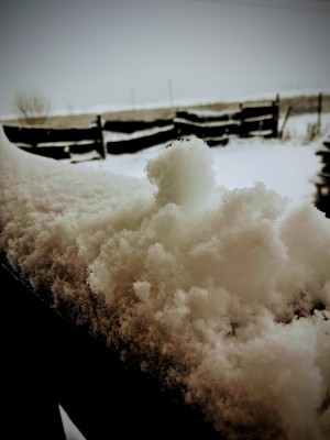 IMG_20201121_103028.jpg