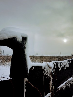 IMG_20201121_103600.jpg
