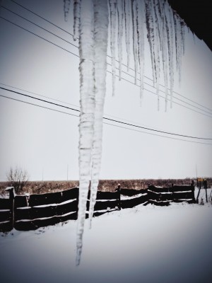 IMG_20201123_094139.jpg