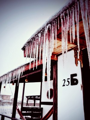 IMG_20201123_093840.jpg