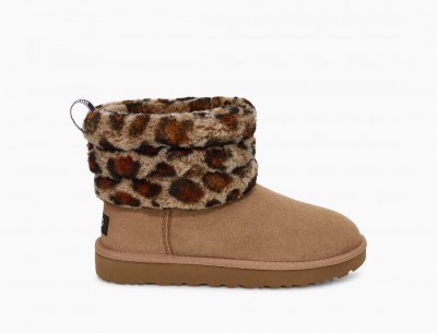 ugg leo.jpg