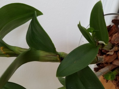 20201201_092536.jpg