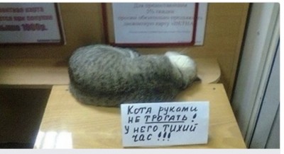 5BD4D790-5A7D-471A-B9E4-8F689D2CAE72.jpeg
