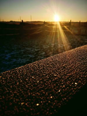 IMG_20201210_093231.jpg