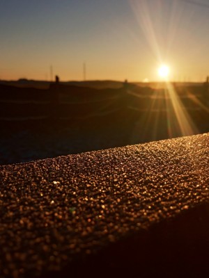 IMG_20201210_093518.jpg