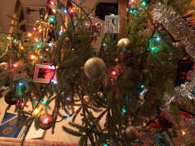 IMG_8915.jpg