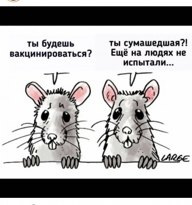 A7DF43F6-432A-41C5-98D8-45DCDCEF951B.jpeg
