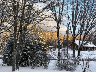 IMG_9025.jpg