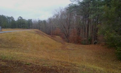 20201224_134555.jpg