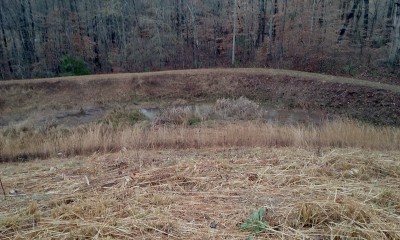 20201224_134856.jpg