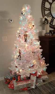 20201224_232625.jpg
