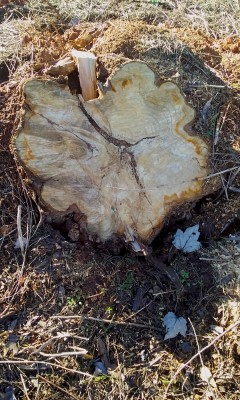 20201226_143112.jpg