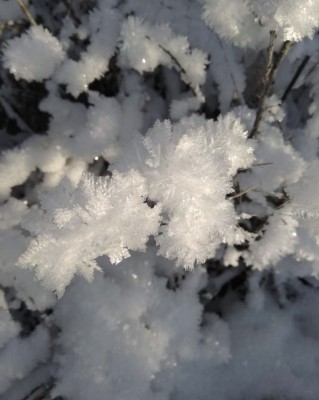 88CD3FD2-3D4A-45E3-B287-6F0EE77B4867.jpeg