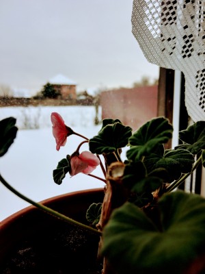 IMG_20210103_122934.jpg