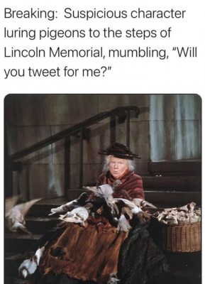 trp.jpg