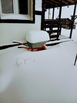 IMG_20210212_114245.jpg