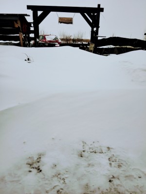 IMG_20210213_092354.jpg