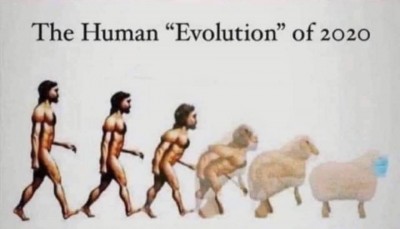 human evolution of 2020.jpg