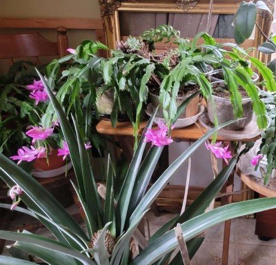 06d6a5e3b3109e33c0b5f6ea3ade003882d45ae872ac1a3a7a97297fb1bd1d64 copy.jpg