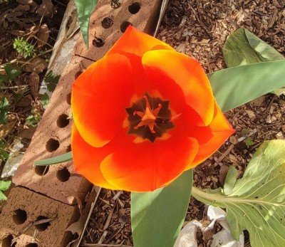 992d78451f241250b43ab9fb9d49967a91e74370172c6c6483865864ae840d51 copy.jpg