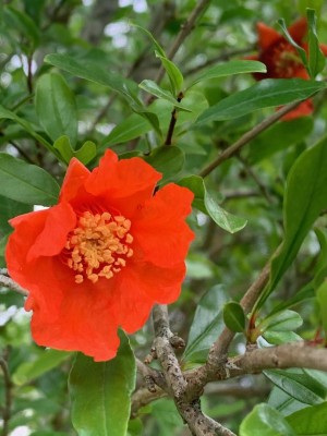 thumbnail (14).jpg