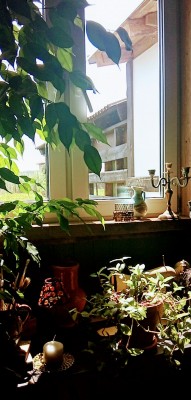PANO_20210515_124340.jpg