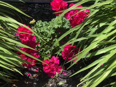 AB91A370-B1A7-4078-8B1E-F038BF4C62AD.jpeg